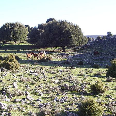 דורגלי Agriturismo Didone מראה חיצוני תמונה