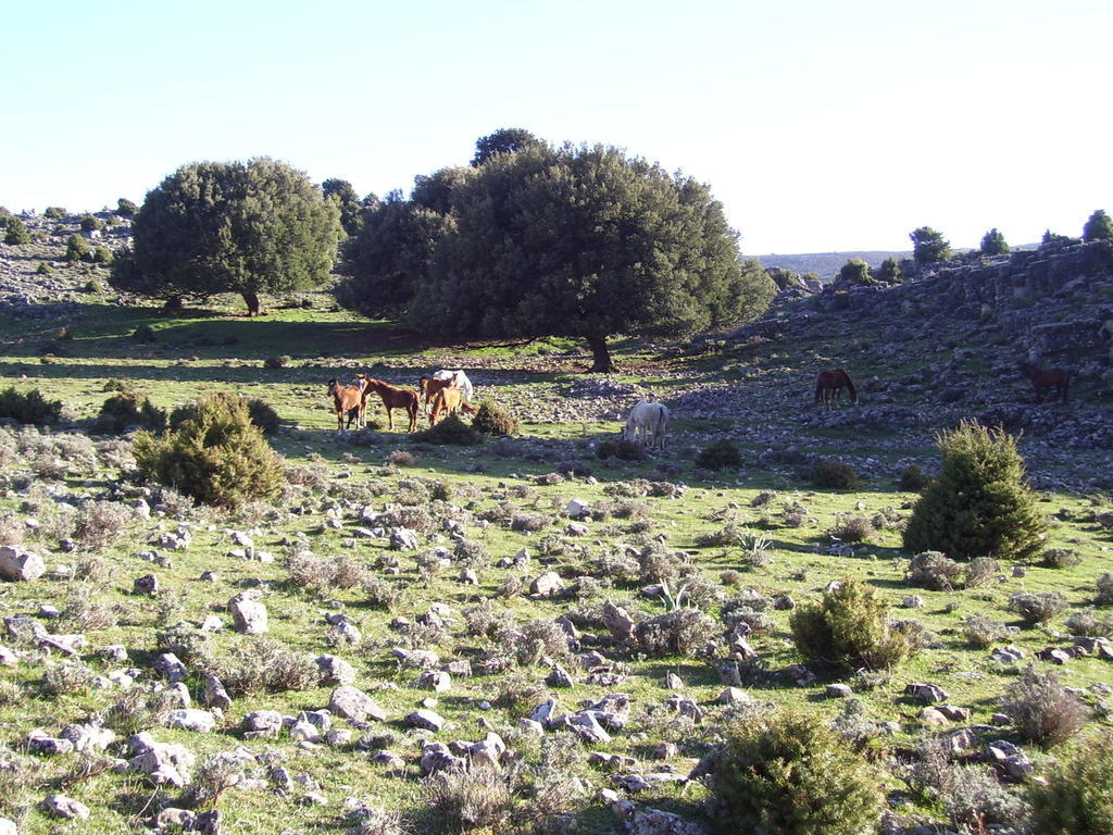 דורגלי Agriturismo Didone מראה חיצוני תמונה