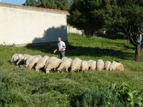 דורגלי Agriturismo Didone מראה חיצוני תמונה